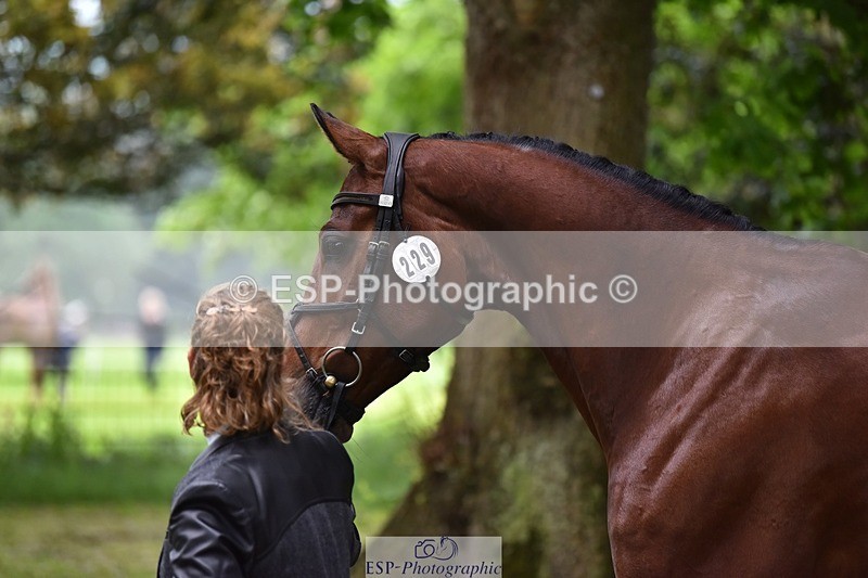 240522-165712-01280 - 229-ROCK_THE_CASPAR-Ali_Wilkes