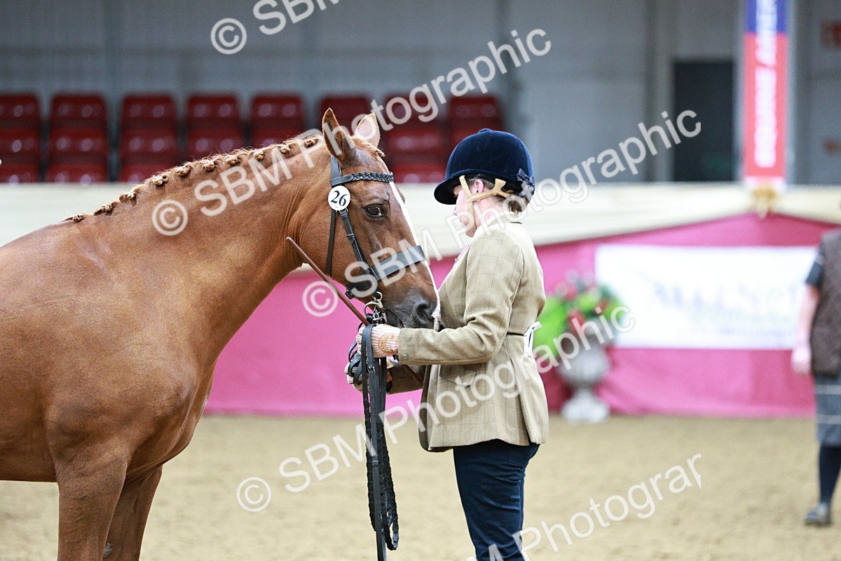 SBM_00264 - Class 1A - Area IH Diamond