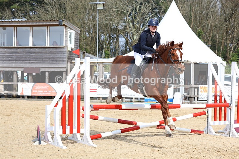 3E7A6853 - Class 4: Senior British Novice/90cm open