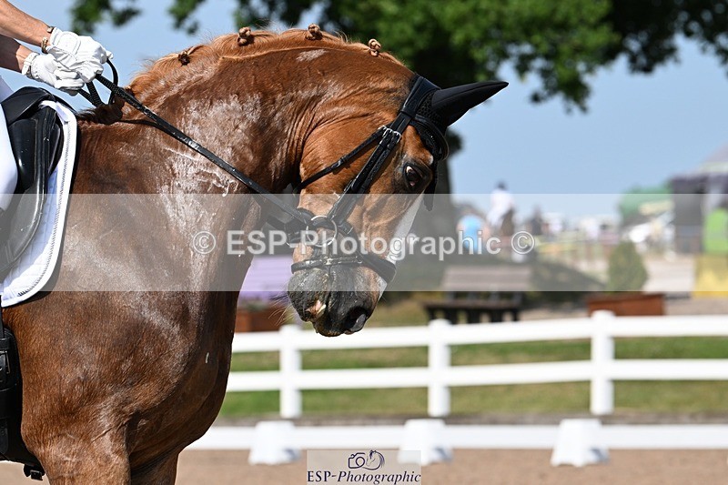 250621-161400-12038 - Cls 33 - Medium 6