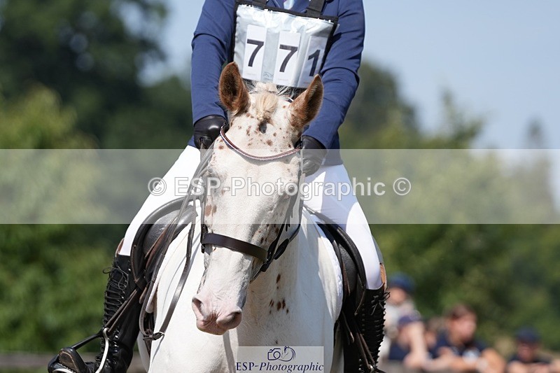 250823A-114816-29209 - Arena A