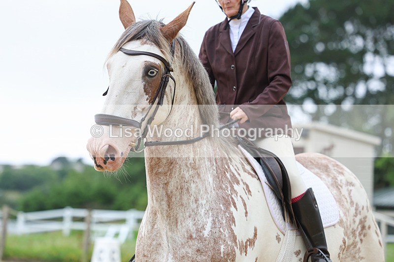 3E7A4893 - Class 1: Intro 4 2024 section A