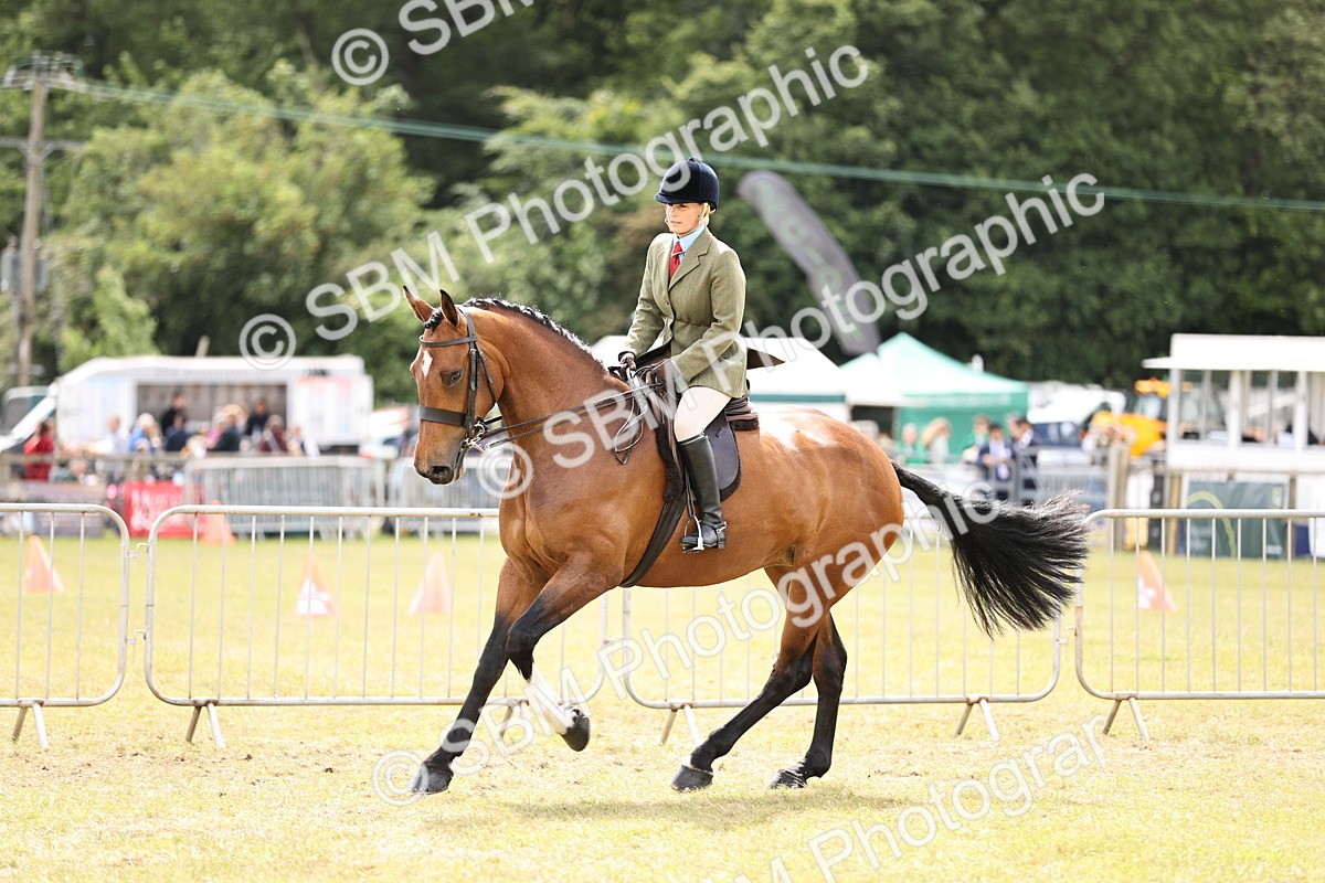 SBM_14714 - Class 88-89 - LIHS BSHA Rising Star of Ridden Hunter Type