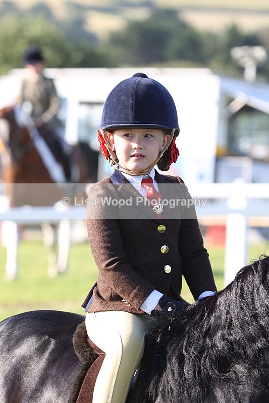 JPP_0730 - Class 16: Cornish Combination Leading Rein