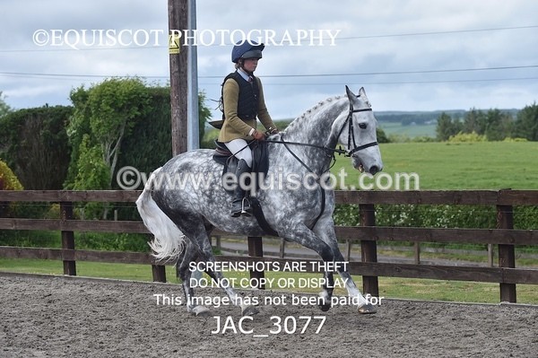 JAC_3077 - CLASS 6 BSPS Scone Palace HT Training Stakes Series