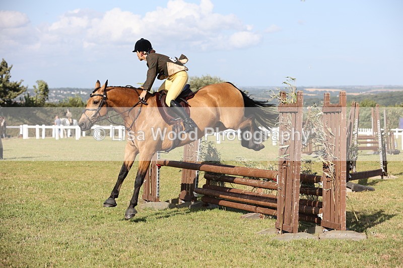 JPP_3189 - Class 21: Working Hunter 80cm