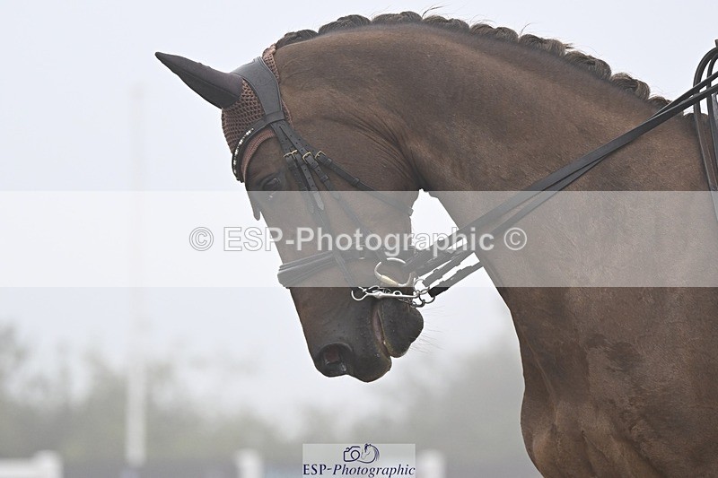 250907-144918-08945 - 105-Hannah.KnightIndy.Pepper