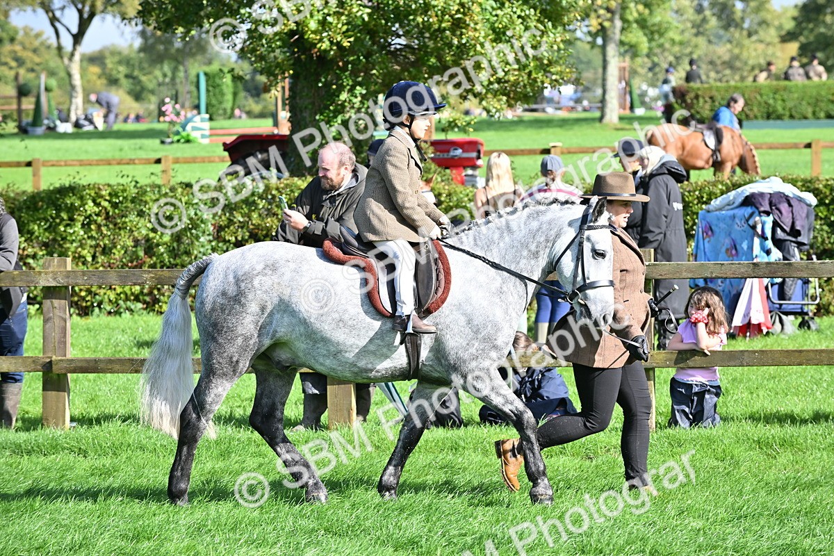 SBM_37418 - S18 - Novice & Newcomer Lead Rein Pony