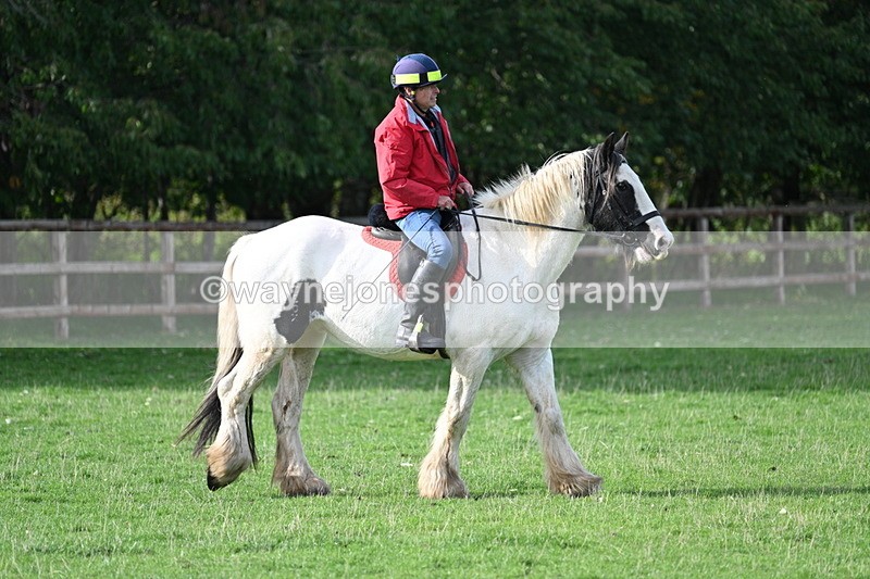 WJ7_1083 - Time 14:27 to 15:11