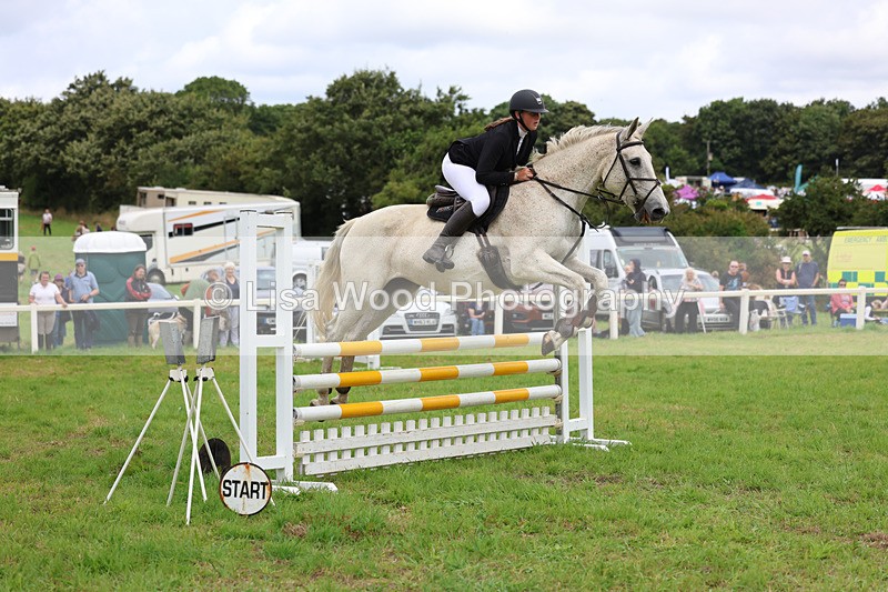 3E7A7095 - Class 5: Senior British Novice/90cm open