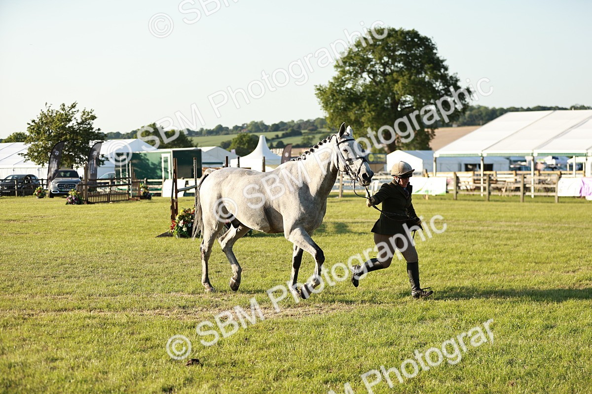 SBM_20555 - Class 117-119 - Sport Horse Working Hunter