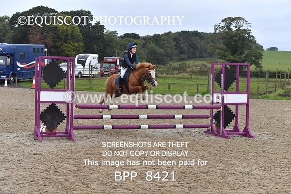BPP_8421 - CLASS 3 Pony BritiNovice / 0.80m Open