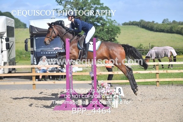 BPP_4464 - CLASS 2  Club/ Unaffiliated 80cms Open