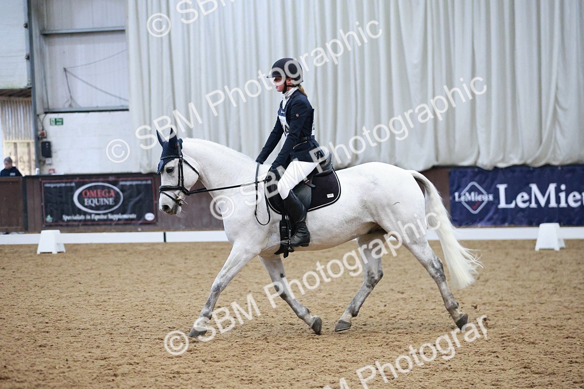 SBM_004600 - Ring 3 - International -  Working Hunter Classes 23-2-25