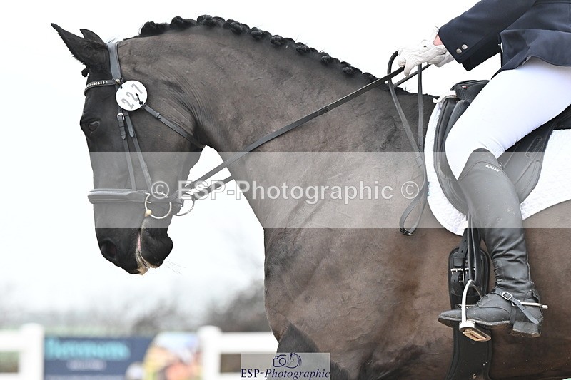 240217A-112710-01331 - 227-Jo.Roberts-Majestic.C