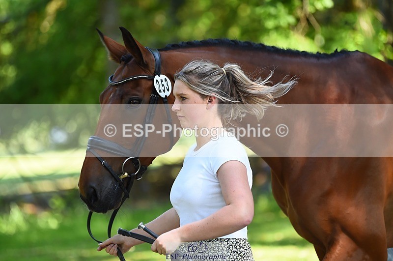 230524-160614-00684 - 253-MY_EASTWOOD_BRIGHTSIDE-Darcy_Zander-WEDTrotUp+DR