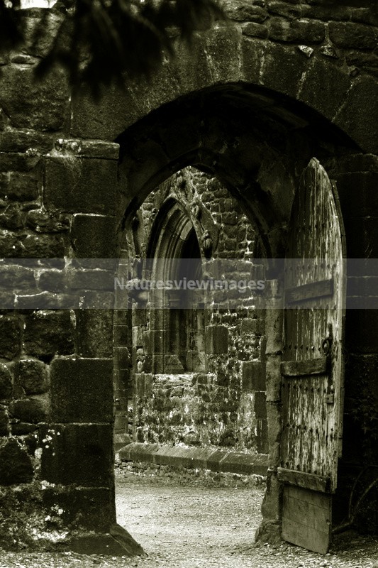 Open Gateway - Landscape