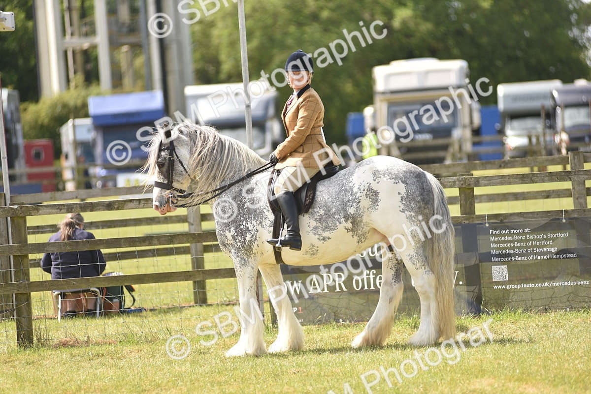 SBM_15848 - Class 115-116 - SSADL Home Produced Members Qualifier