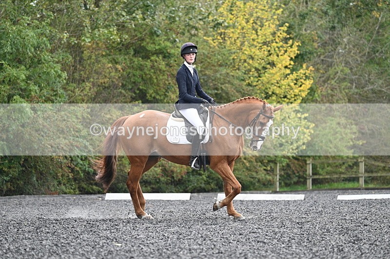 WJ7_6746 - Time 14:49 to 15:14