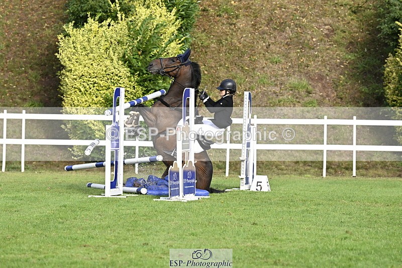 250831A-084151-09038 - Cls 34 Snr Foxhunter