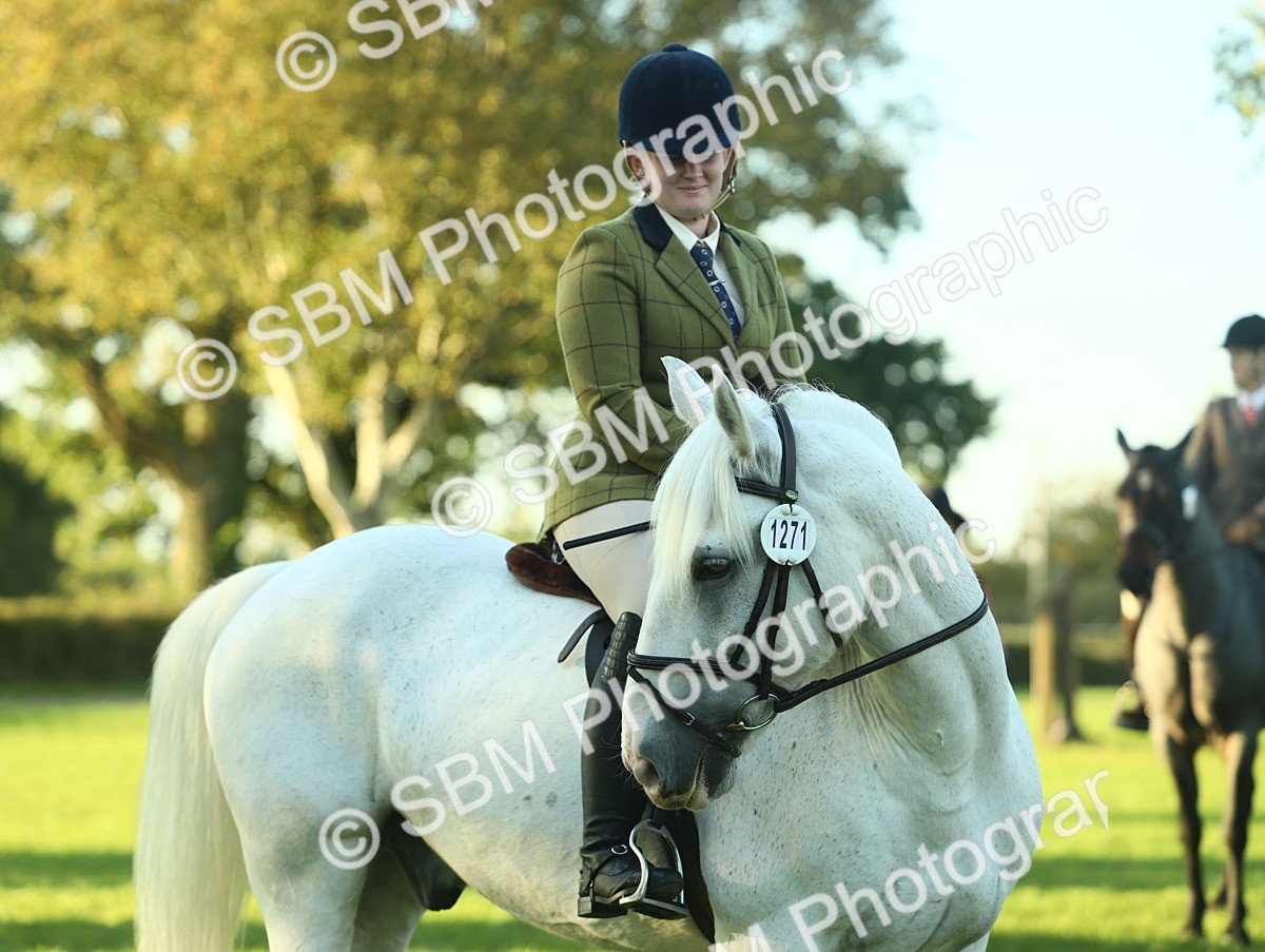 SBM_55608 - S14 - Riding Club Horse