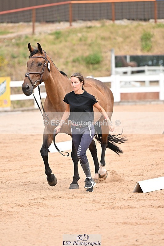 250716-150731-01653 - Trot Up 2.30 to 3.30