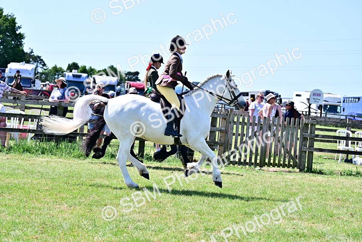 SBM_15442 - Class 95-97 - BSPS LHS Performance Ponies