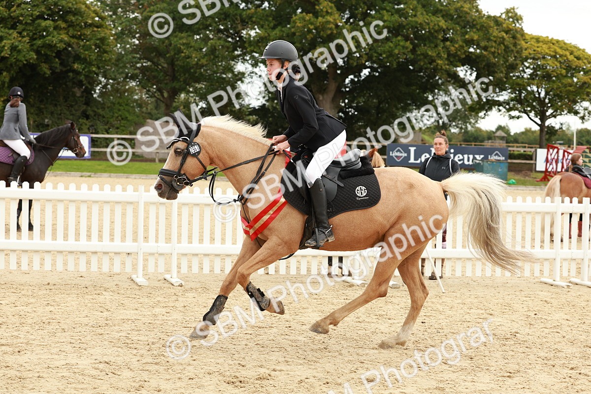 SBM_65358 - Supreme Championship 50cm & 55cm