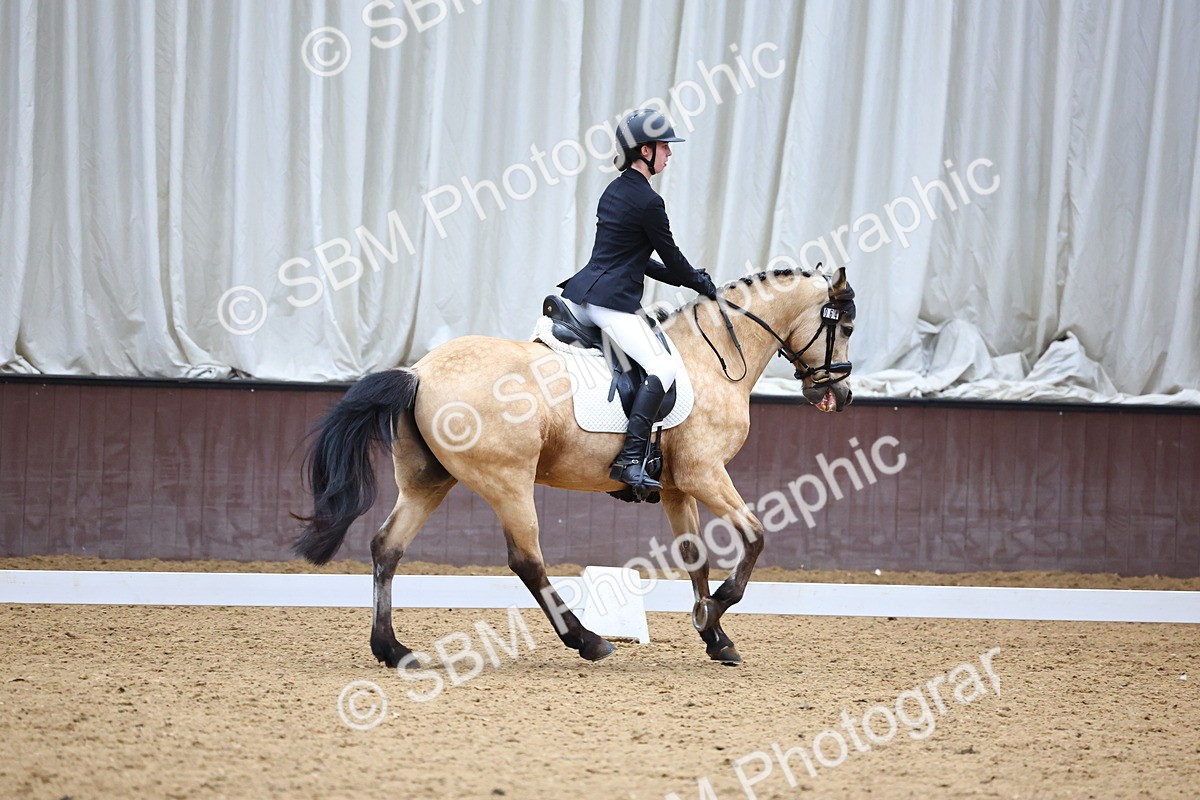 SBM_005436 - Elementary 2