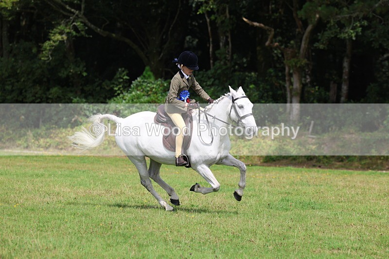 3E7A6093 - Working Hunter Championship