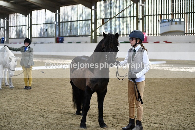 WJ5_4001 - Class 2 Best Condition In hand