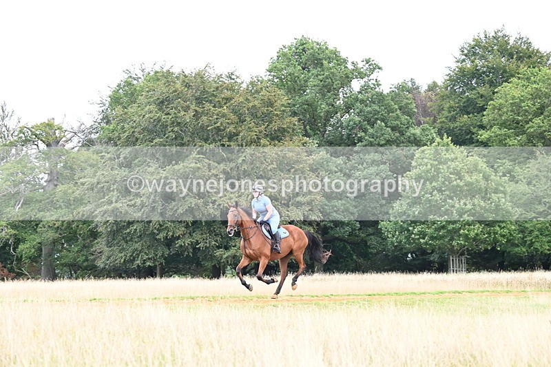 DSC_7622 - Time at Statue 13:16 to 13:52