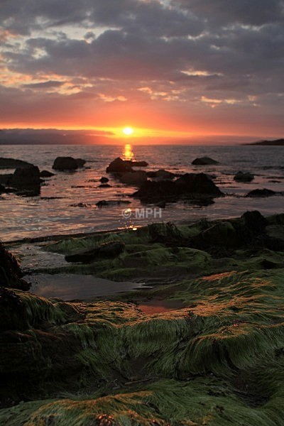216 - Gallery 2