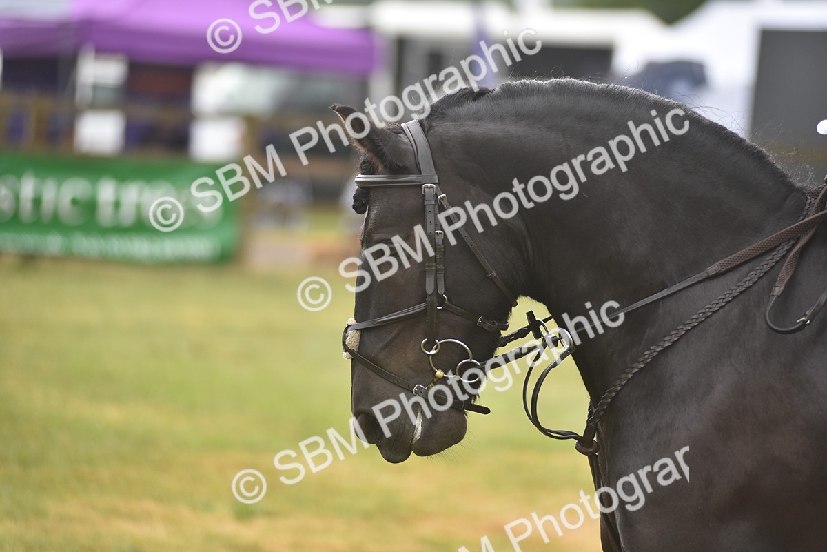 SBM_12033 - Class 110-112 - LIHS BSPS Performance Pones