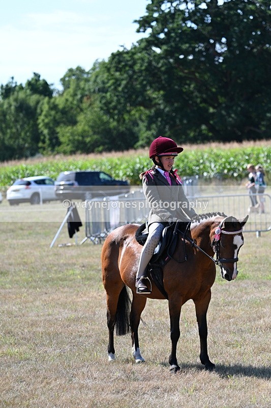 WJ7_3612 - Class 9 Mountain & Moorland Ridden