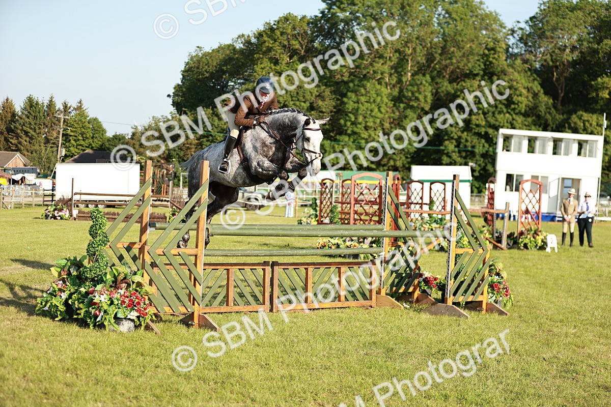 SBM_20347 - Class 117-119 - Sport Horse Working Hunter