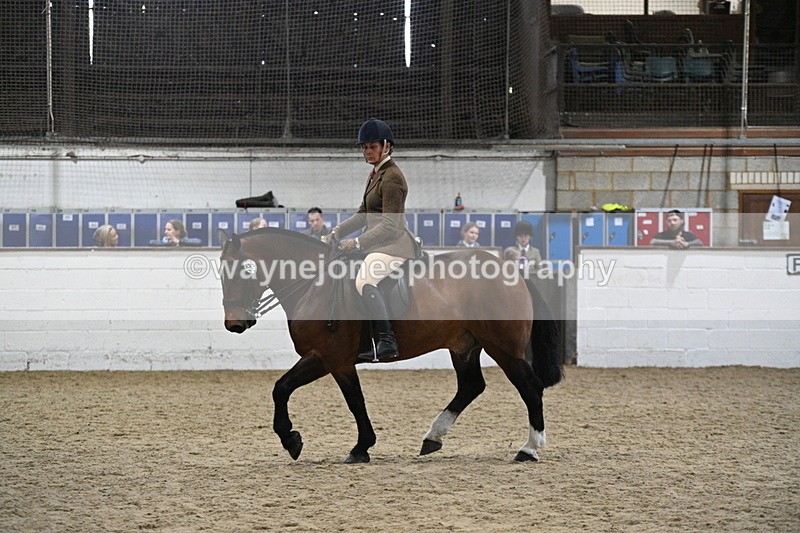 WJ7_3983 - Class 17 Ridden Cob