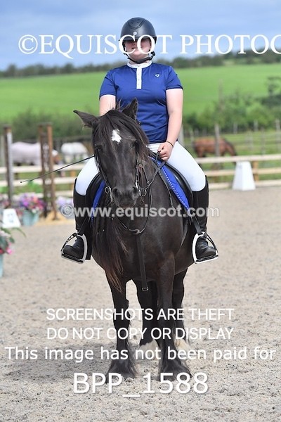 BPP_1588 - DERBY CLASS 3 - 40CM