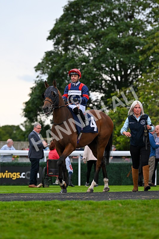 050724-Race 5-Walter Hartright-2371 - Race 5