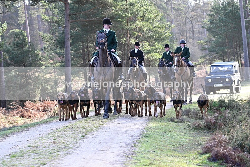 WJ7_7674 - Line 3 (no line 4 or 5)