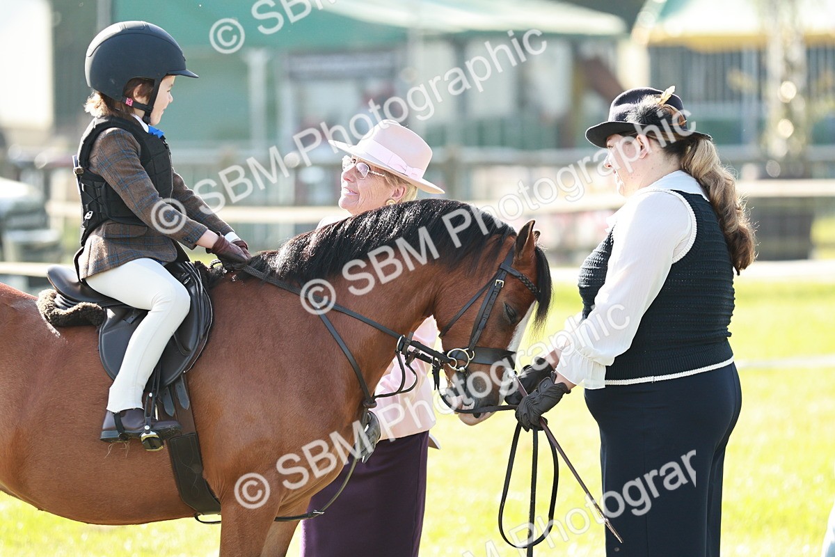SBM_11140 - Class 106-107 - BSPS LIHS Working Sports Pony
