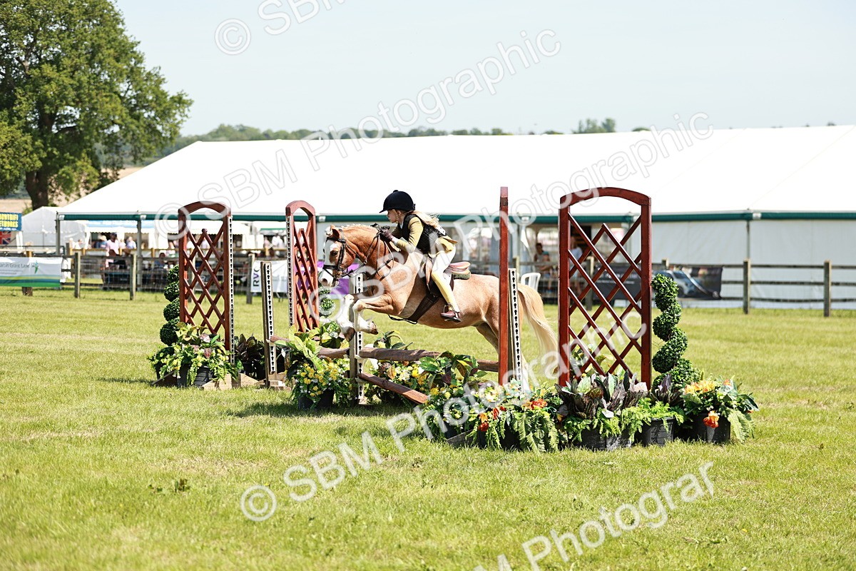 SBM_13589 - Class 108-109 - BSPS LIHS Open Gradle & Nursery Stakes