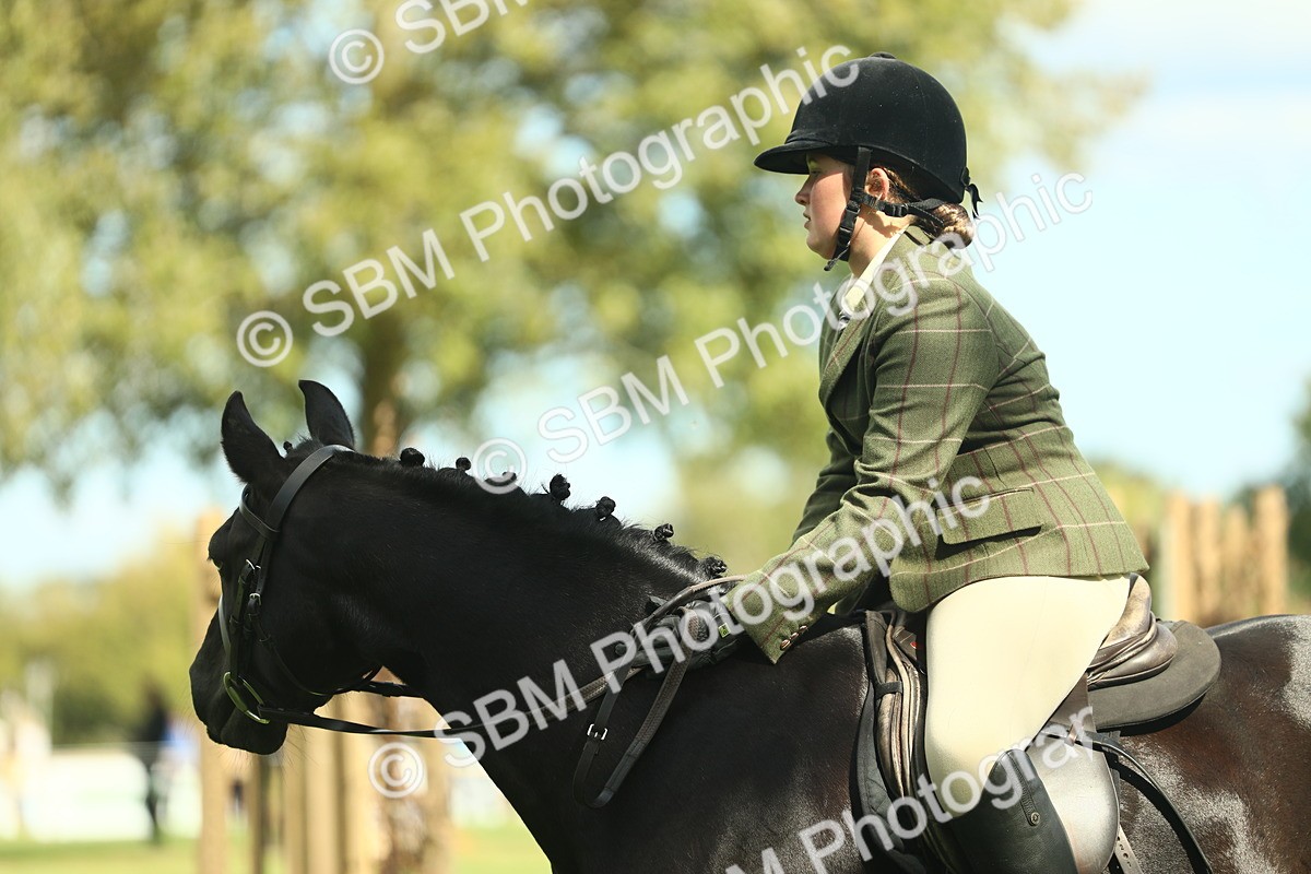 SBM_42079 - S29 - Novice & Newcomers Working Hunter Pony