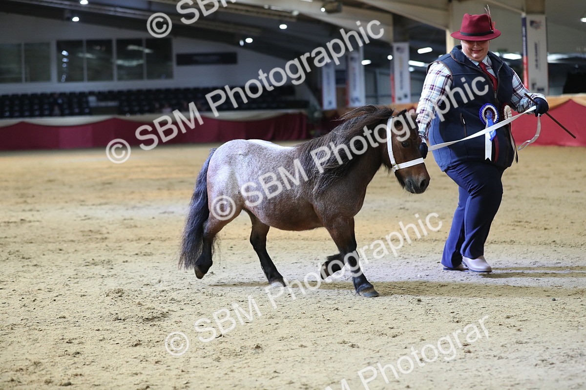 SBM_01407 - Class 3a Area IH Pre Vet