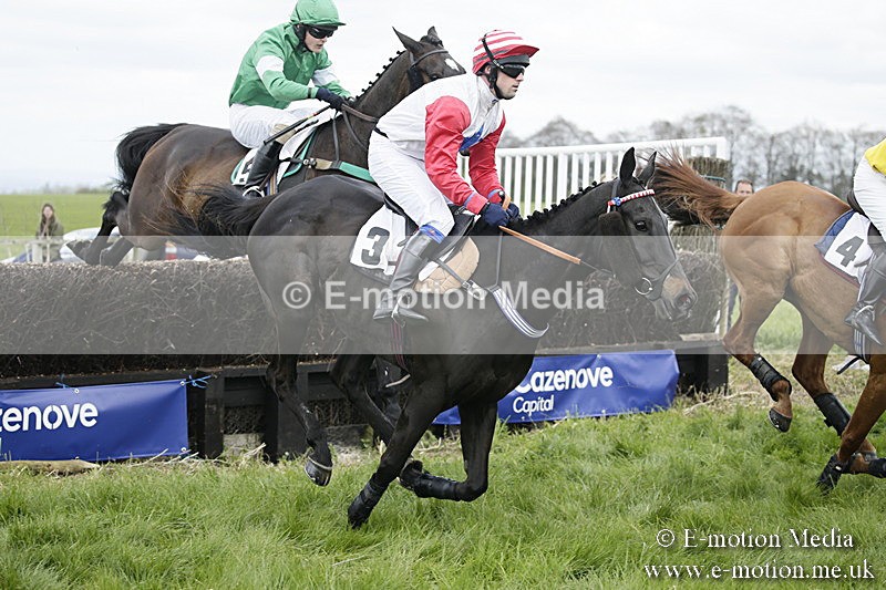 PtP 170417 15 - Old Berks Point-to-Point Lockinge 17/04/17