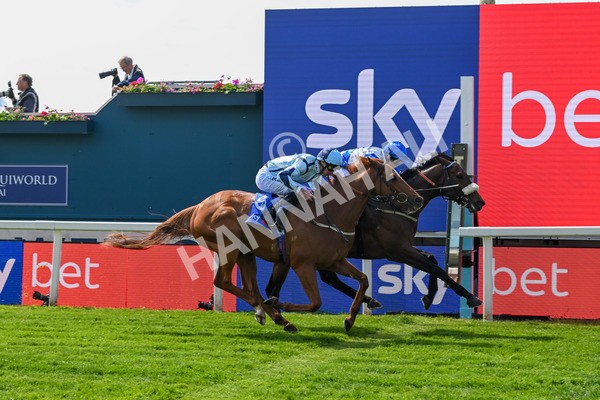 140525-Race 1-Almoshher-1605 - Race 1 2.10pm Sky Bet Race To The Ebor Jorvik Handicap