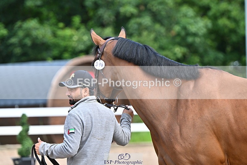 240718A-105255-01335 - Trot Up 12pm to 1pm