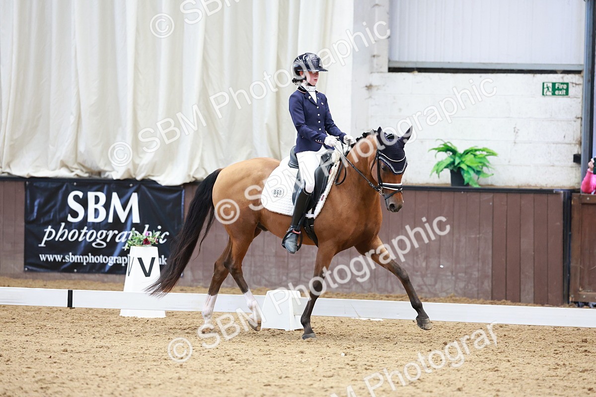 SBM_017267 - Class15 - FEI Pony