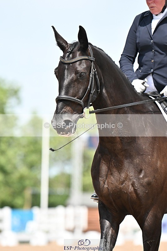 250620-124745-02174 - BD Cls 5 - Novice 6, 12.10pm to End