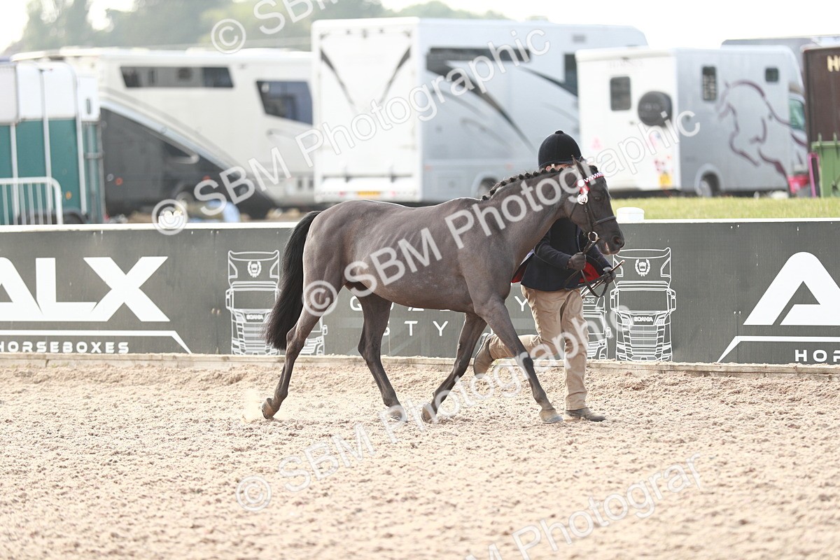 SBM_10499 - Class 204 Young Handler, 11-16 years